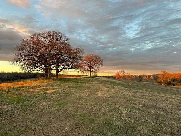 60.5 Acres of Land for Sale in Brownsboro, Texas