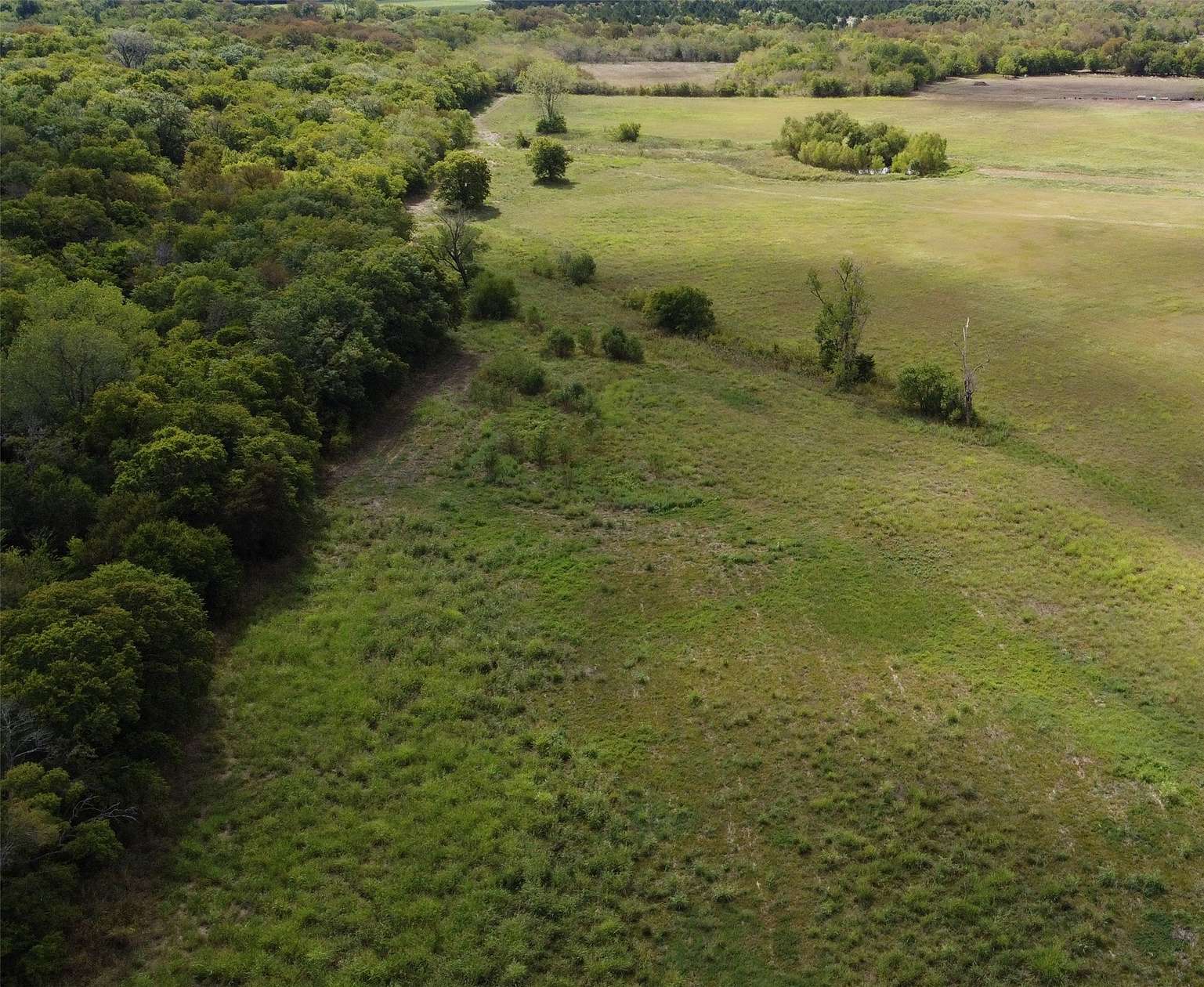 33 Acres of Land for Sale in Klondike, Texas