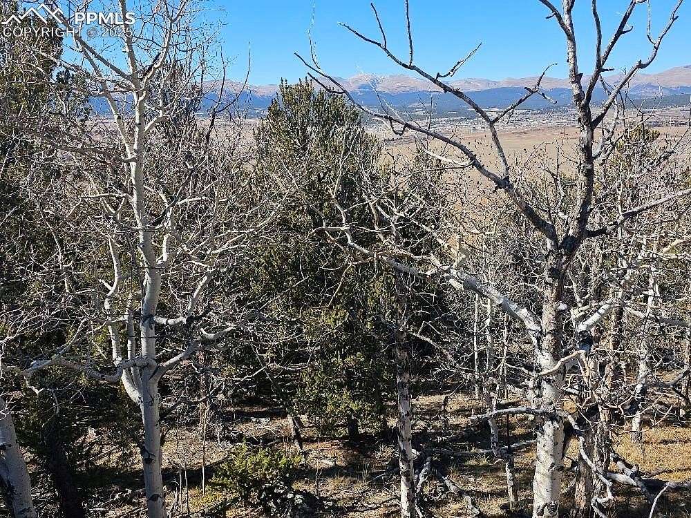 2.13 Acres of Residential Land for Sale in Fairplay, Colorado
