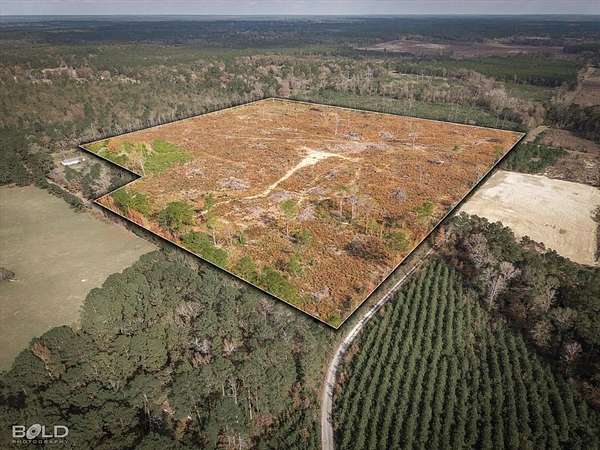 38 Acres of Recreational Land for Sale in Logansport, Louisiana