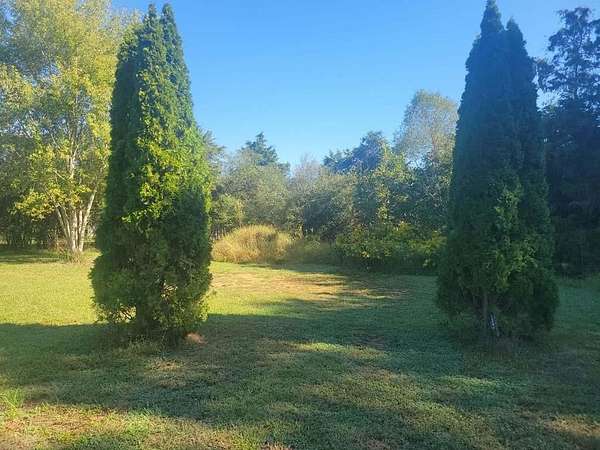 28.5 Acres of Recreational Land for Sale in Lindale, Georgia