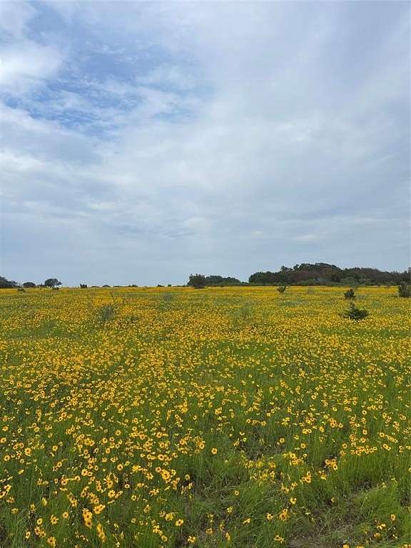 4 Acres of Residential Land for Sale in Stephenville, Texas