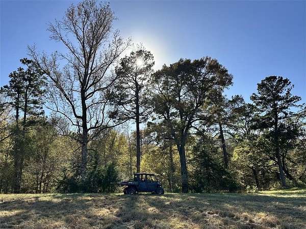 98.4 Acres of Recreational Land & Farm for Sale in Avery, Texas