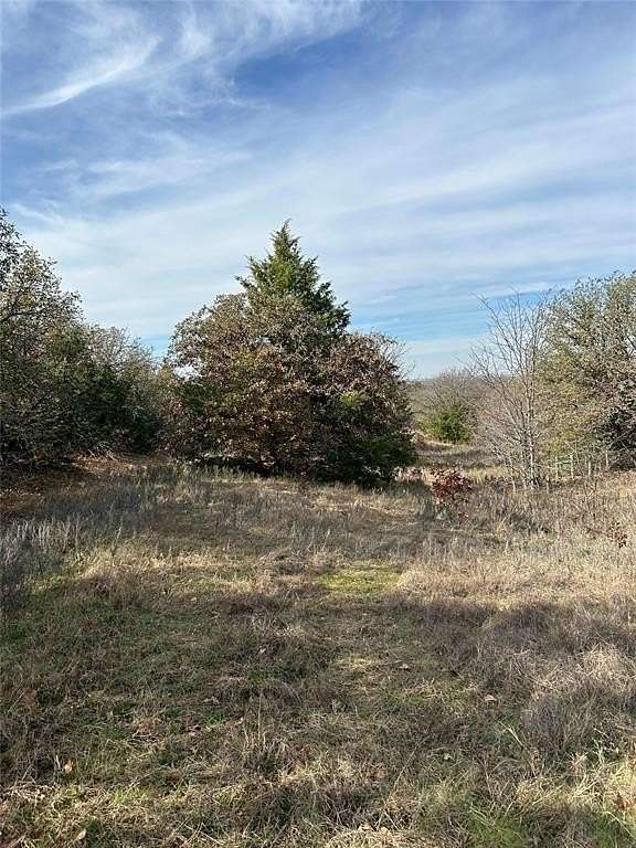 96.2 Acres of Recreational Land for Sale in Valley View, Texas