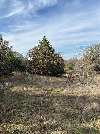 96.2 Acres of Recreational Land for Sale in Valley View, Texas