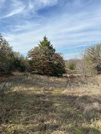 96.2 Acres of Recreational Land for Sale in Valley View, Texas