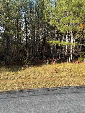 1.19 Acres of Residential Land for Sale in Cross Hill, South Carolina