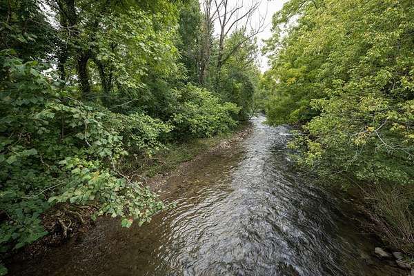 15 Acres of Land for Sale in Andrews, North Carolina