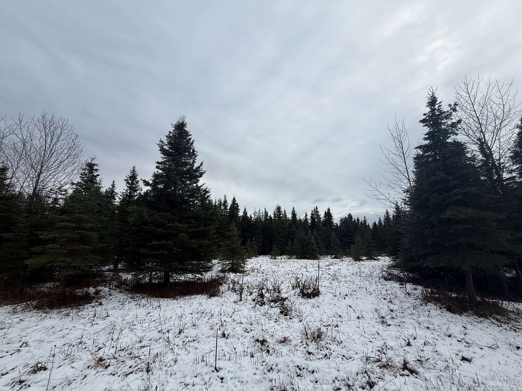 9.1 Acres of Land for Sale in Ninilchik, Alaska