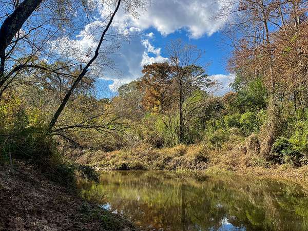80.8 Acres of Recreational Land for Sale in Carthage, Mississippi
