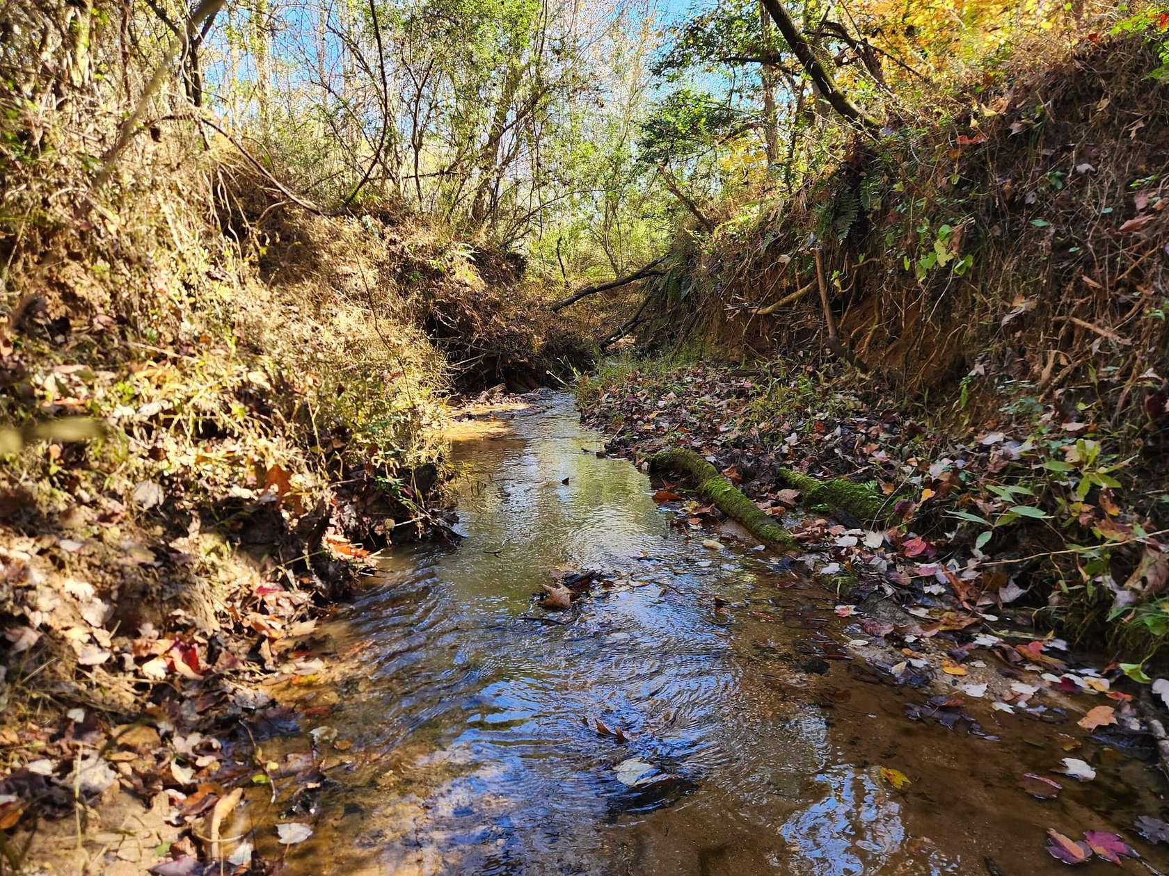 18 Acres of Recreational Land for Sale in Wilkesboro, North Carolina