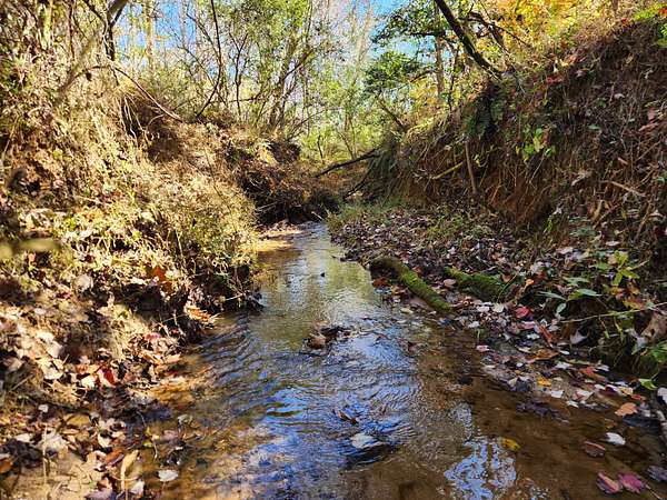 18 Acres of Recreational Land for Sale in Wilkesboro, North Carolina