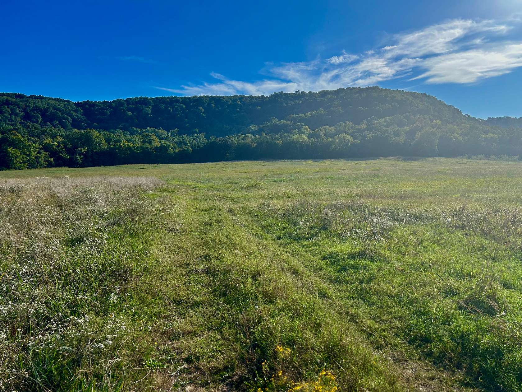 20 Acres of Agricultural Land for Sale in Mountain View, Arkansas