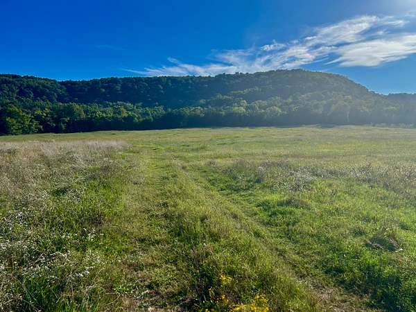 20 Acres of Agricultural Land for Sale in Mountain View, Arkansas