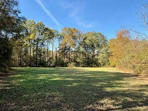 76 Acres of Land for Sale in Pheba, Mississippi