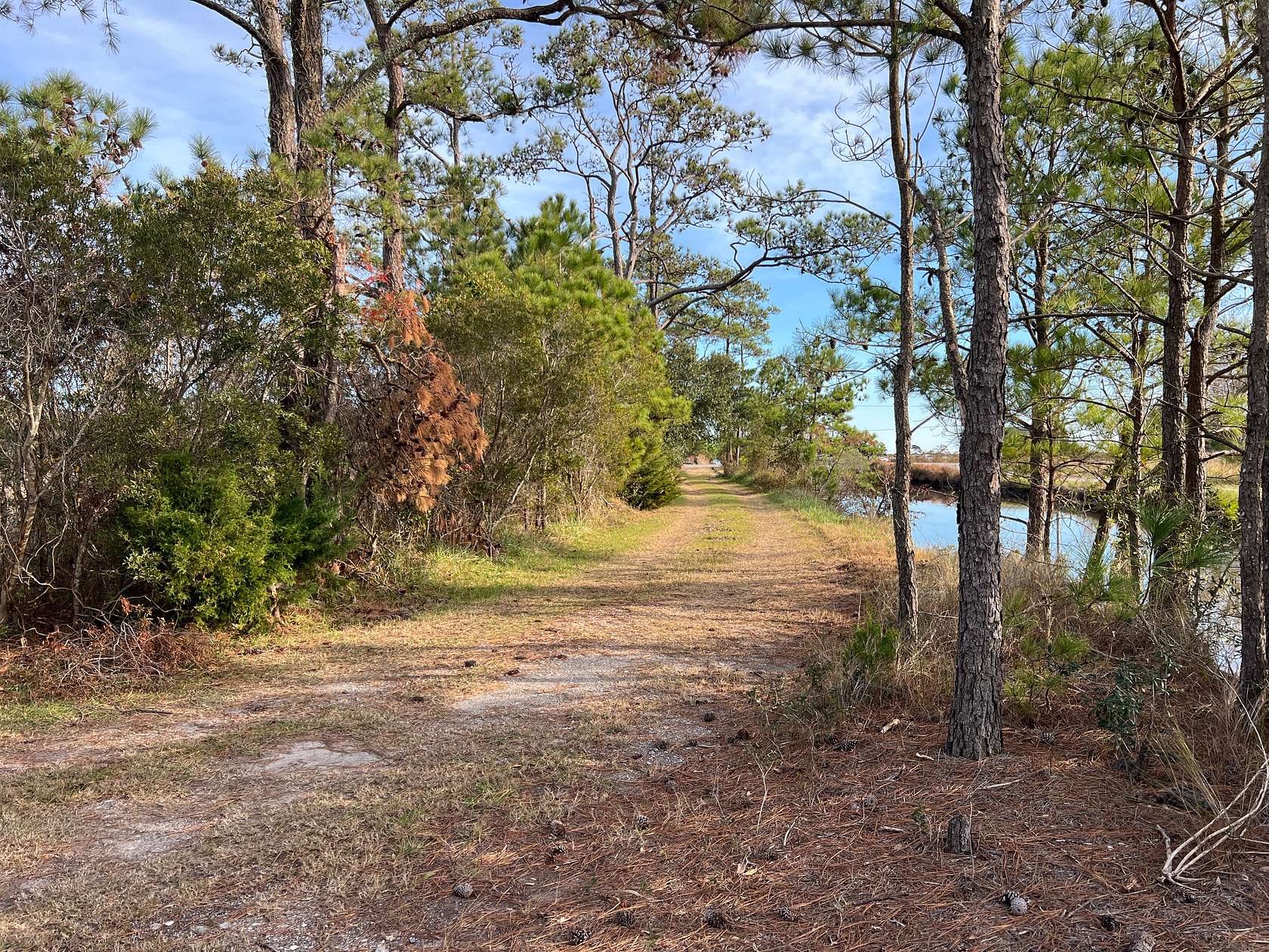 9 Acres of Agricultural Land for Sale in Engelhard, North Carolina