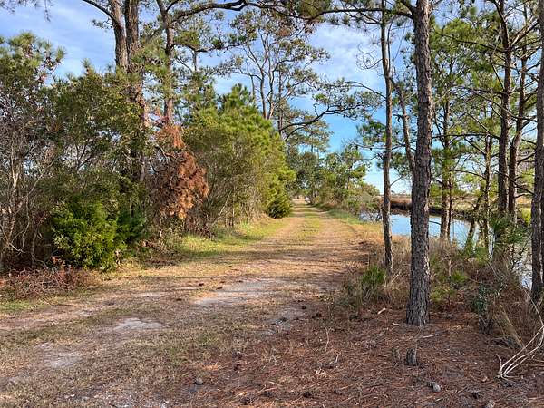 9 Acres of Agricultural Land for Sale in Engelhard, North Carolina