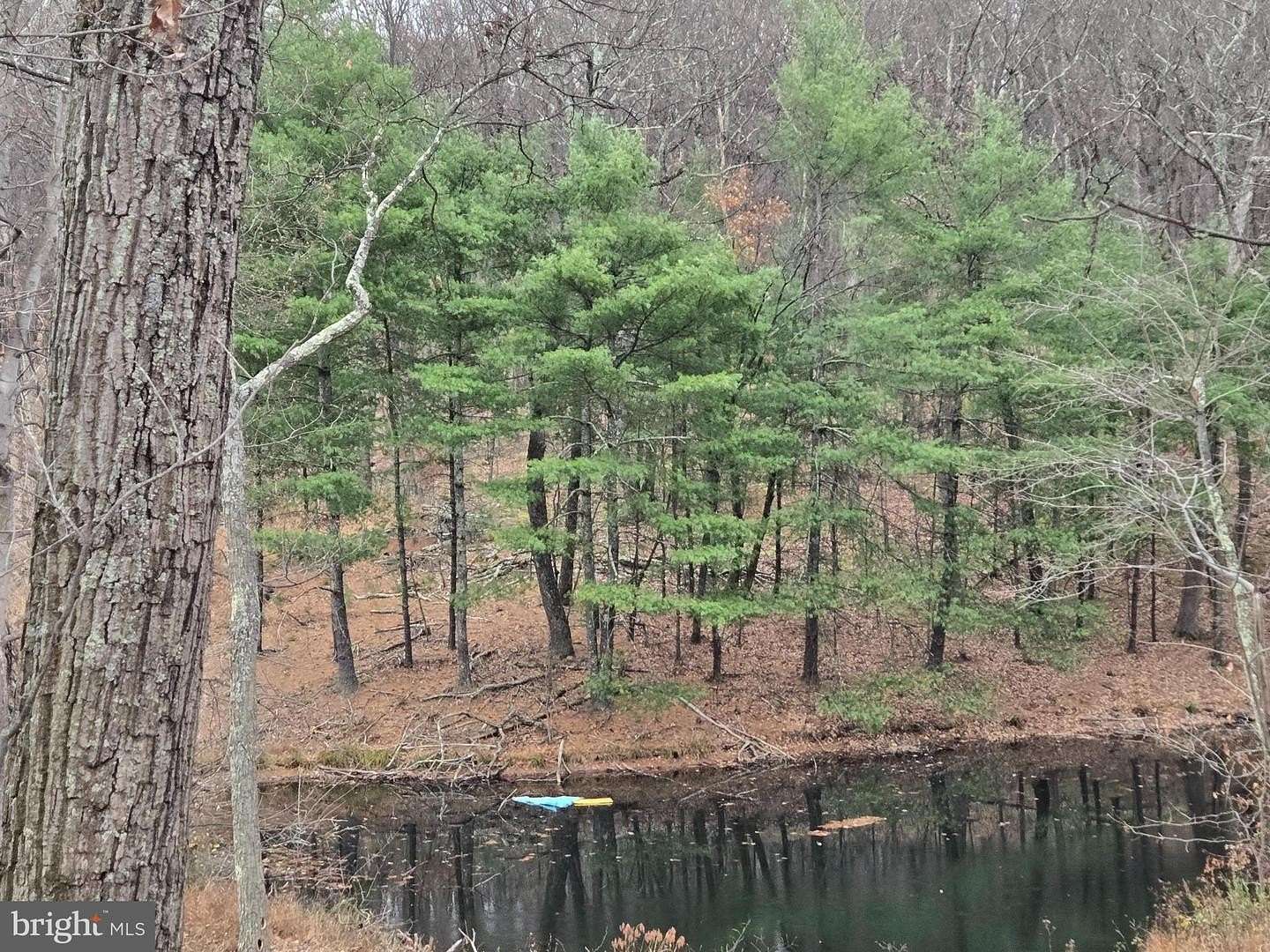 5.23 Acres of Land for Sale in Winchester, Virginia