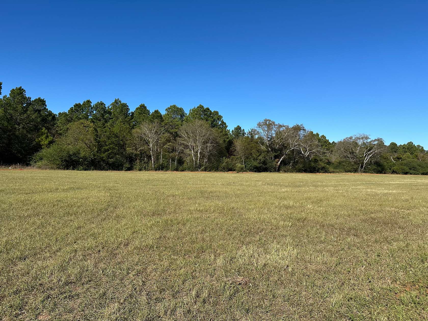 1.24 Acres of Residential Land for Sale in Alto, Texas