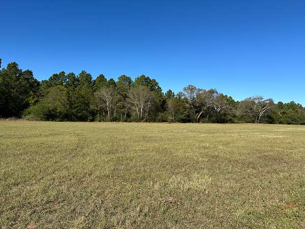 1.24 Acres of Residential Land for Sale in Alto, Texas