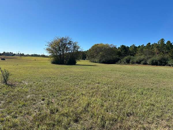 1.24 Acres of Residential Land for Sale in Alto, Texas