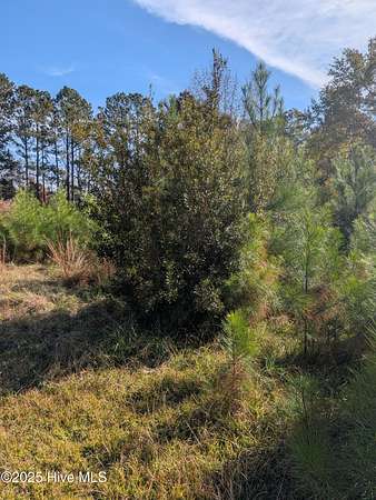 4.33 Acres of Residential Land for Sale in Hubert, North Carolina