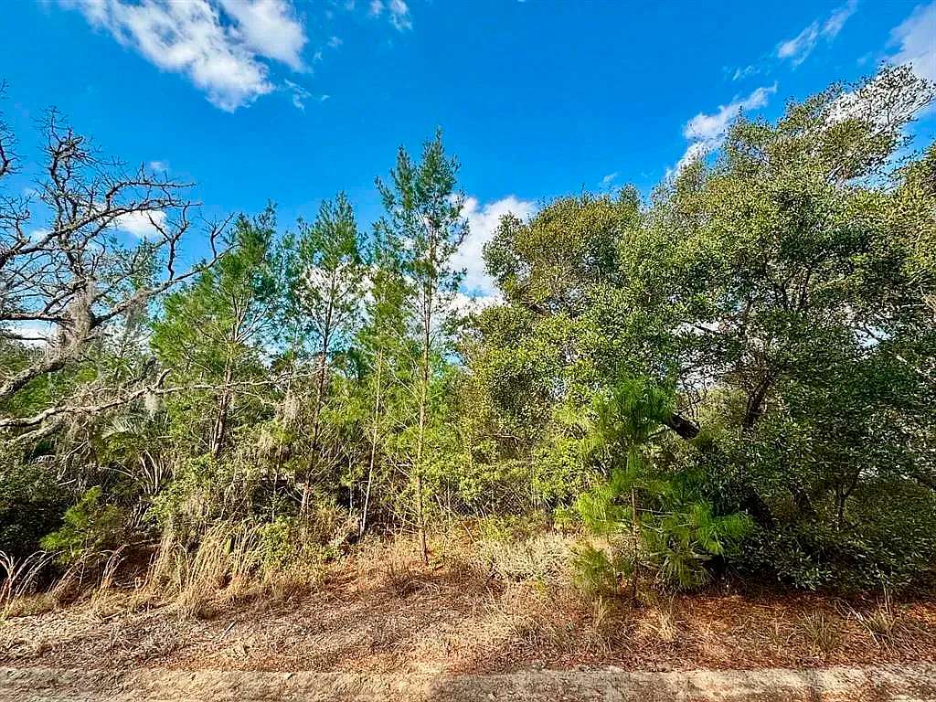 0.42 Acres of Residential Land for Sale in Fort McCoy, Florida