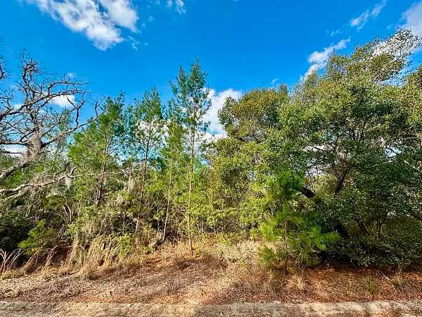 0.42 Acres of Residential Land for Sale in Fort McCoy, Florida