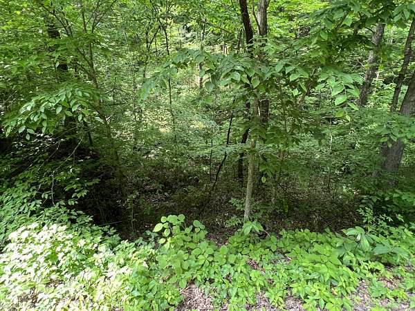 11.4 Acres of Land for Sale in Whites Creek, Tennessee