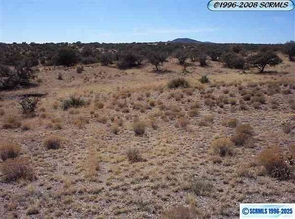 10.5 Acres of Land for Sale in Tyrone, New Mexico