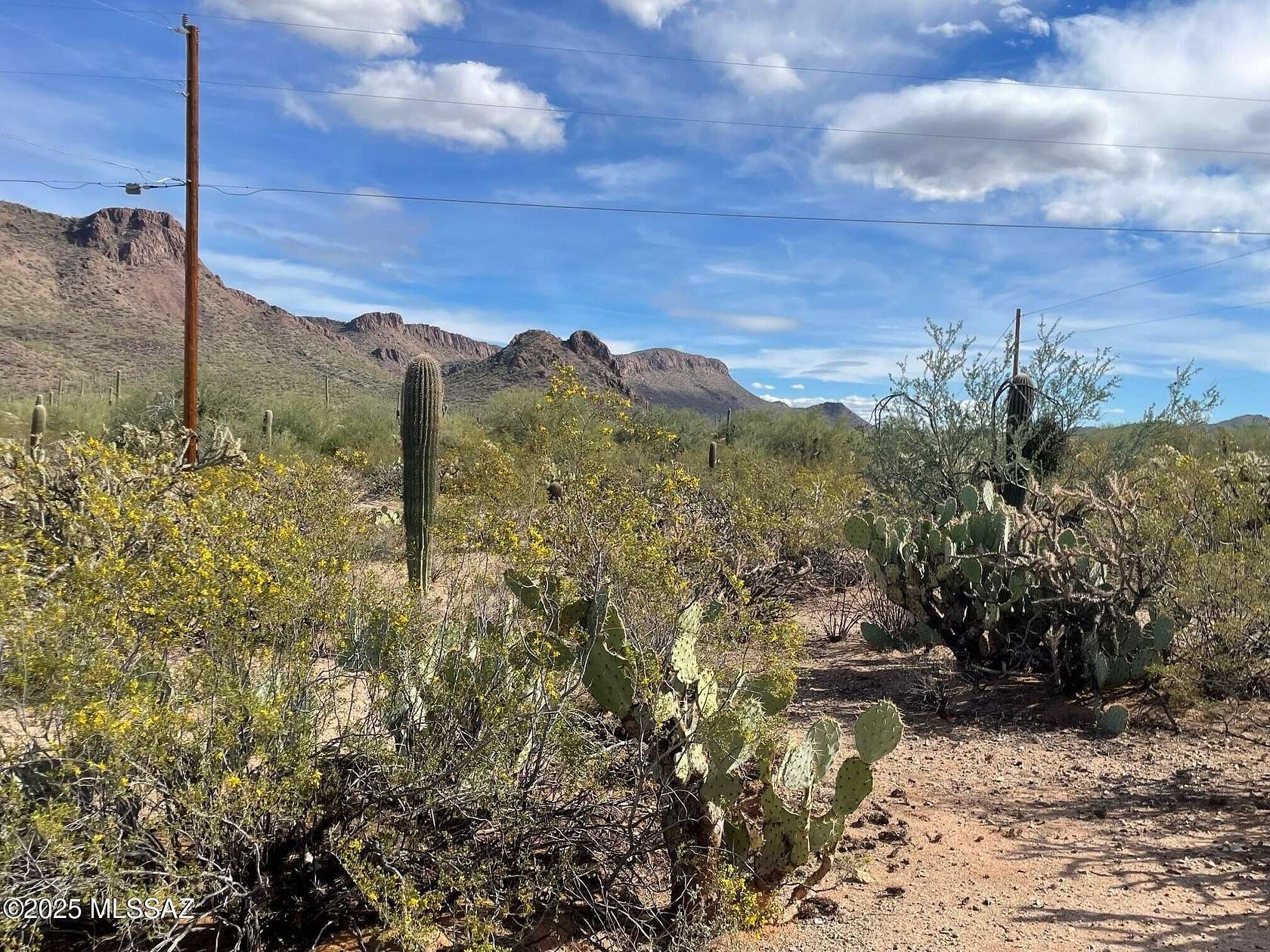 1.14 Acres of Residential Land for Sale in Tucson, Arizona