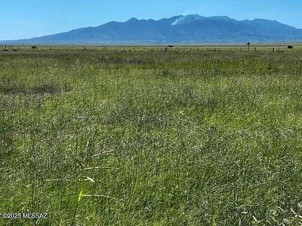 13.4 Acres of Agricultural Land for Sale in Elgin, Arizona