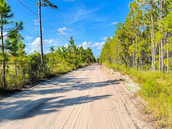 5 Acres of Land for Sale in Ormond Beach, Florida
