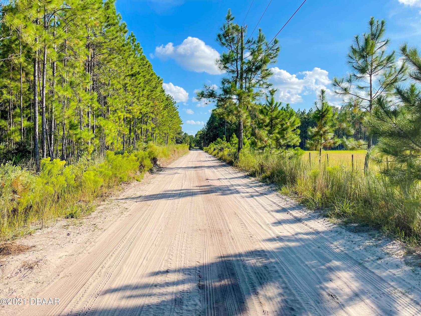 10 Acres of Land for Sale in Ormond Beach, Florida