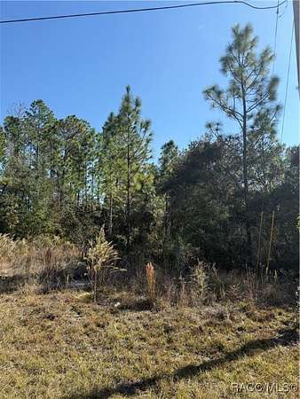 0.23 Acres of Residential Land for Sale in Citrus Springs, Florida