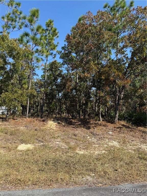 0.26 Acres of Residential Land for Sale in Citrus Springs, Florida