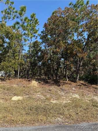 0.26 Acres of Residential Land for Sale in Citrus Springs, Florida