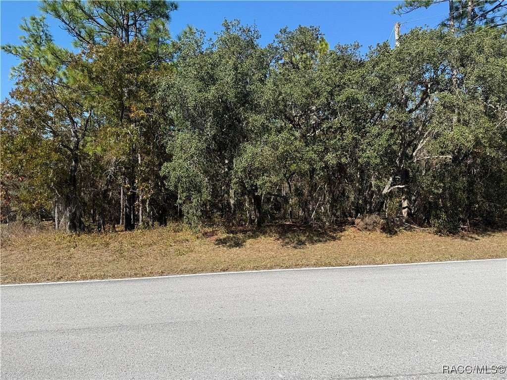 0.34 Acres of Residential Land for Sale in Homosassa, Florida