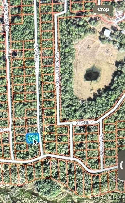 0.22 Acres of Residential Land for Sale in Inverness, Florida