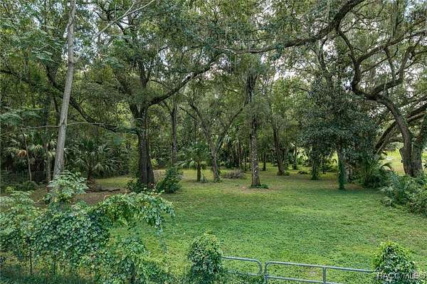 1 Acre of Land for Sale in Floral City, Florida