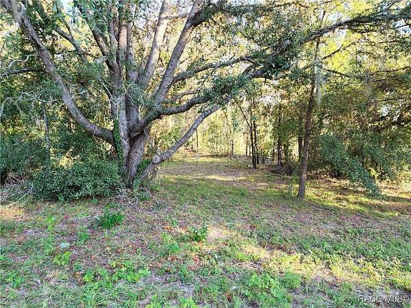 0.5 Acres of Residential Land for Sale in Inverness, Florida