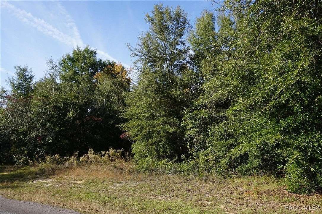 1 Acre of Residential Land for Sale in Hernando, Florida