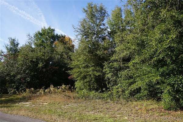 1 Acre of Residential Land for Sale in Hernando, Florida