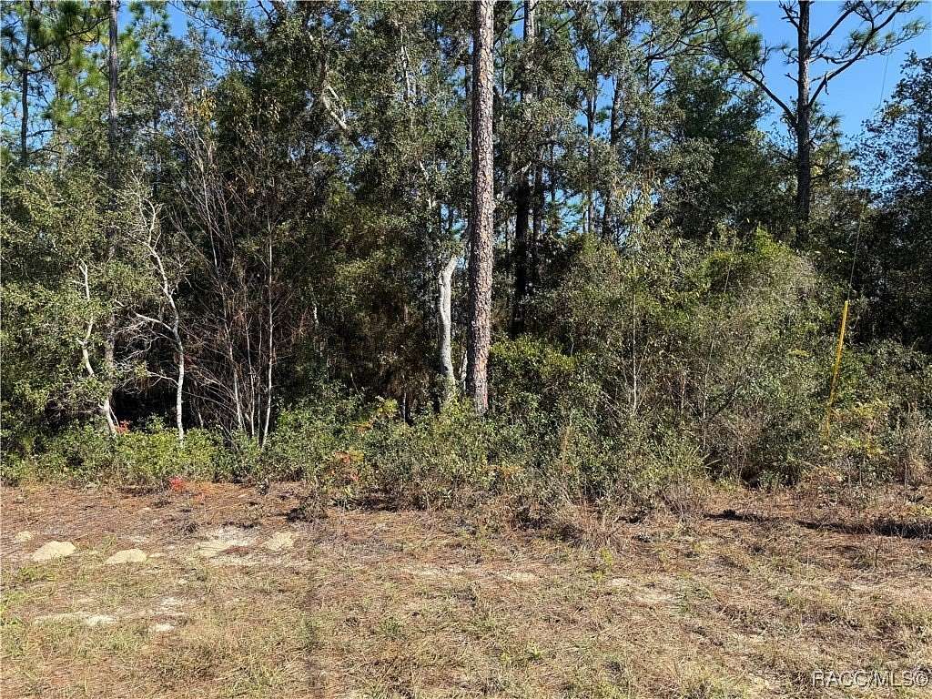 0.23 Acres of Residential Land for Sale in Citrus Springs, Florida