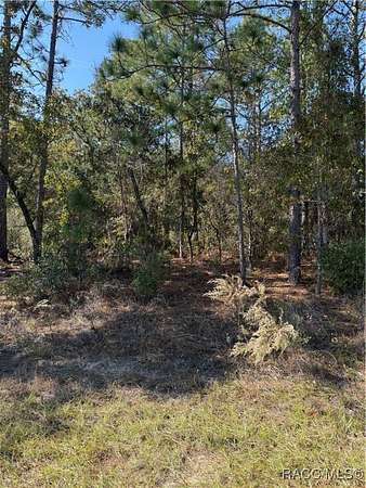 0.23 Acres of Residential Land for Sale in Citrus Springs, Florida