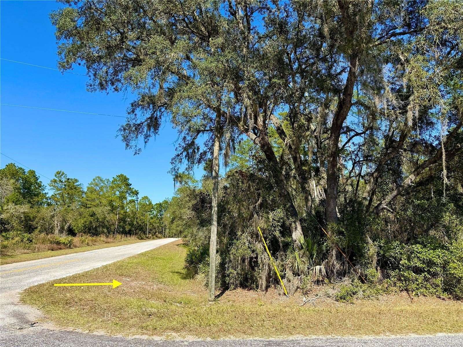1 Acre of Residential Land for Sale in Eustis, Florida