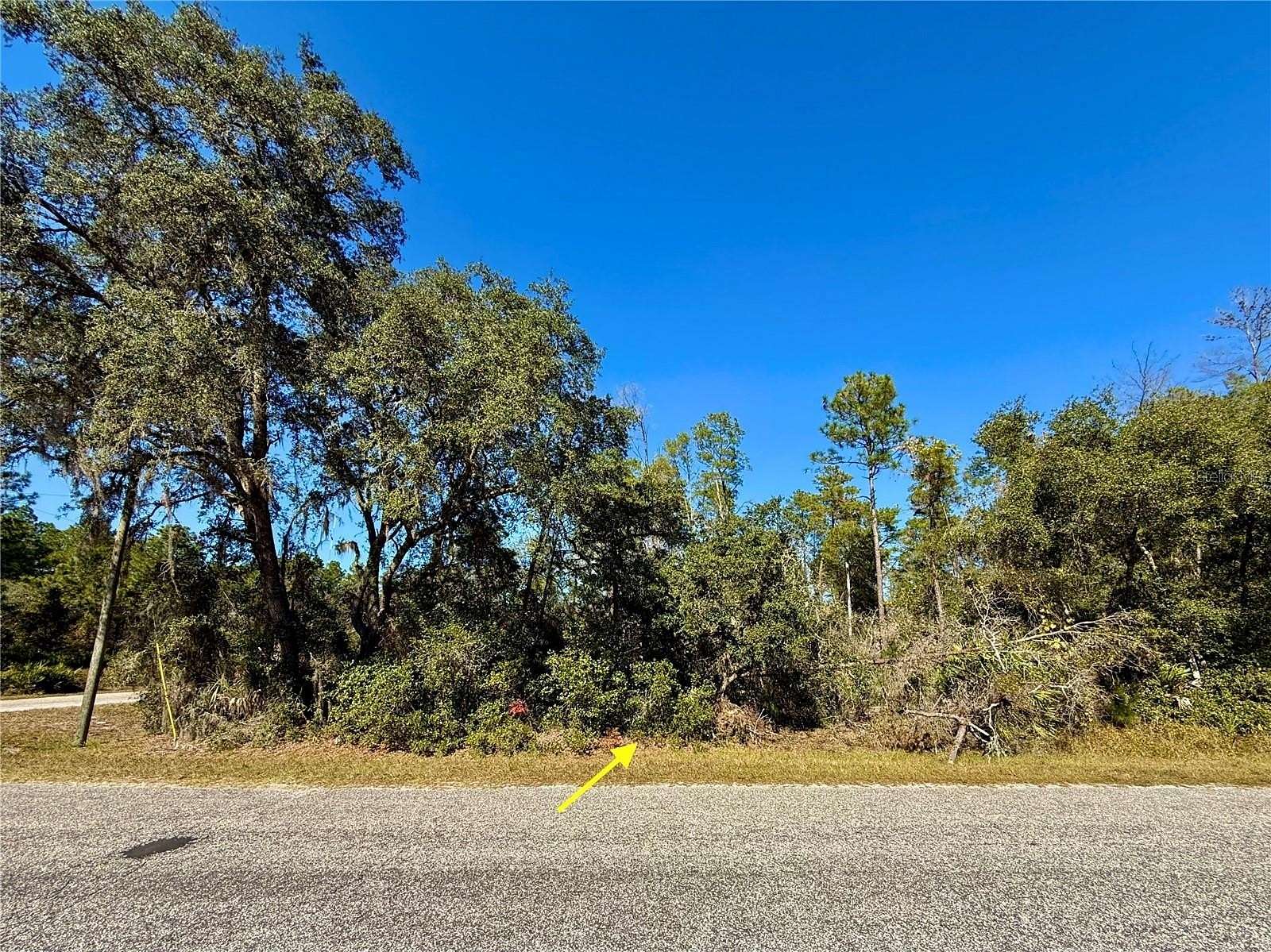 1 Acre of Residential Land for Sale in Eustis, Florida