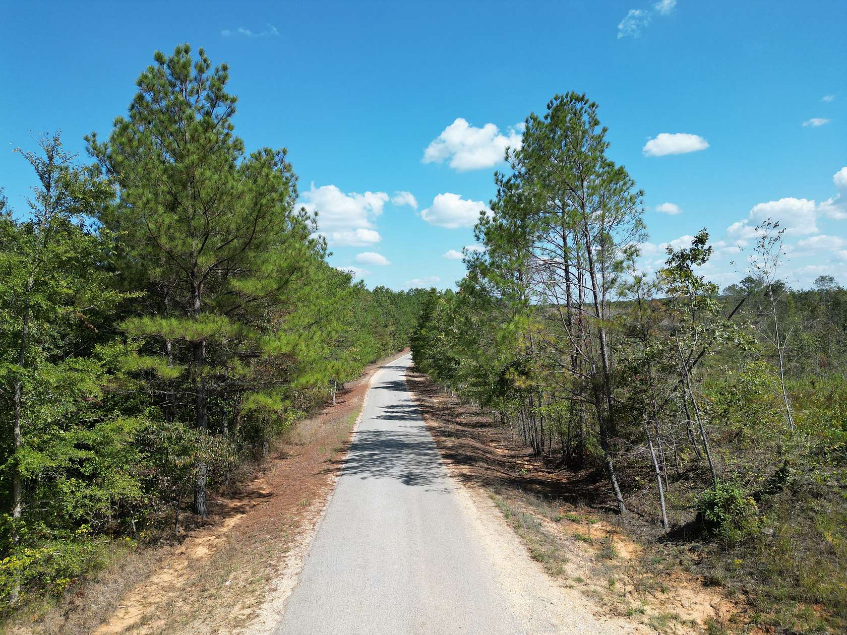 220 Acres of Recreational Land for Sale in Pogo, Alabama