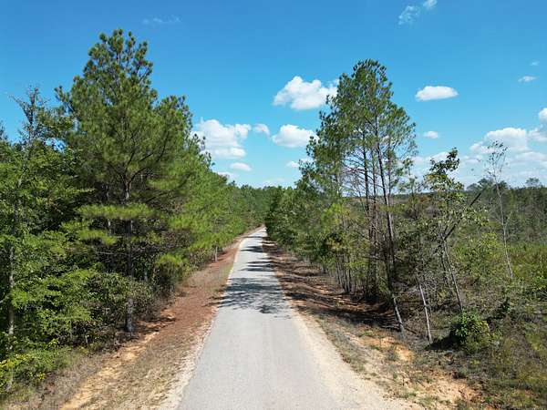 220 Acres of Recreational Land for Sale in Pogo, Alabama