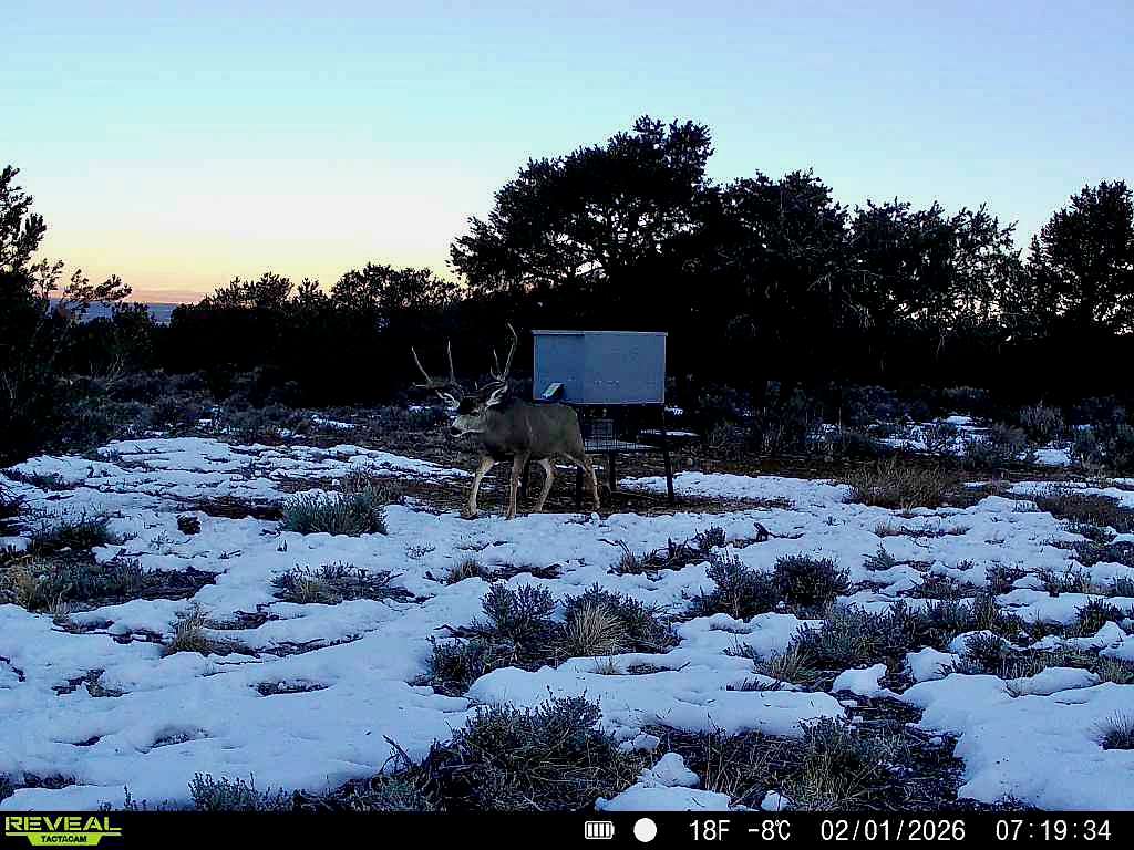 1,301 Acres of Land for Sale in Questa, New Mexico